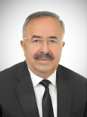 Mehmet Habib Soluk