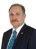 Levent Gök