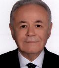 Aydın Adnan Sezgin