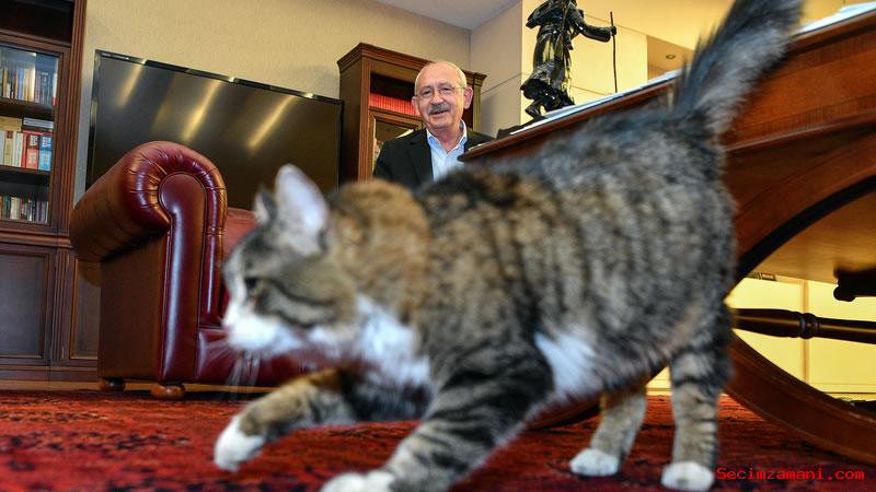 Chp Lideri Ve Cumhurbaşkanı Adayı Kılıçdaroğlu: Şero’ya Söz Verdim, İktidara Gelince Yaş Mamayı Lüks Olmaktan Çıkaracağım