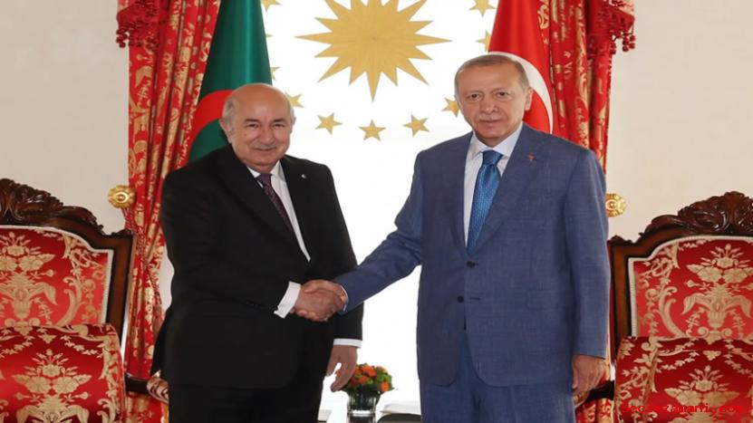 Cumhurbaşkanı Erdoğan, Cezayir Cumhurbaşkanı Tebbun İle Görüştü