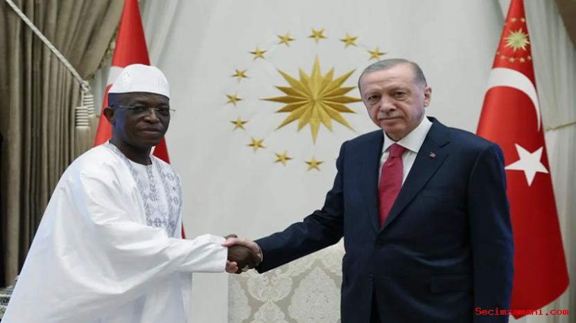 Gine'nin Ankara Büyükelçisi Kande, Cumhurbaşkanı Erdoğan'a Güven Mektubu Sundu